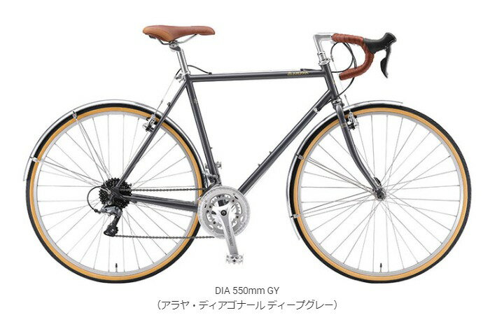 2025年モデル ARAYA （アラヤ）DIA（アラヤディアゴナール)