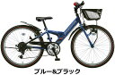 2025年モデル BRIDGESTONE ブリヂストン エクスプレスジュニア【EXJ05:EXJ25:EXJ45:EXJ65】