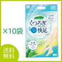 メール便送料無料 くつろぎ快足 樹液力快足シート(レギュラー)×10袋セット(4)