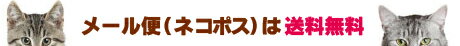 with NYAGO 【スマホケース／手帳型／レザー 薄型タイプ】 全機種対応（iPhone 11 XS XR 8 Xperia Galaxy SIMフリー）送料無料／猫／ネコ／猫柄／ネコ柄／ノート キュート パターン NYAGOがいっぱい