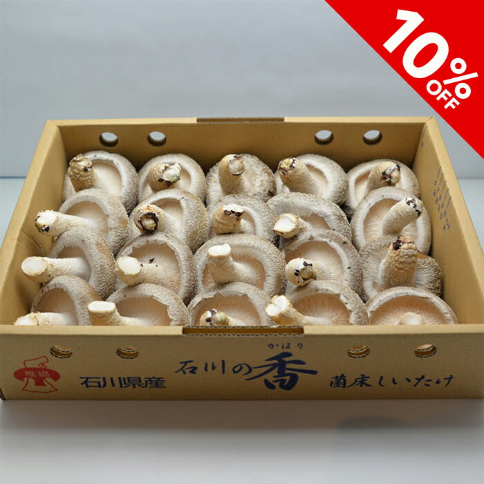 能登産 しいたけ 椎茸 国産 1kg きのこ 茸 料理 調理 ご飯 ごはん お取り寄せ グルメ 人気 ...