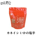 カネイシ いかの塩辛 120g 塩辛 いか イカ 国産 おつまみ ごはん 惣菜 珍味 ご当地 お土産 ギフト お取り寄せ 石川県 能登 町