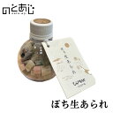 ぽち生あられ あられ おかき おつまみ 珍味 お菓子 おやつ 国産 もち米 使用 グルテンフリー ご当地 お土産 ギフト お取り寄せ 石川県 能登 町