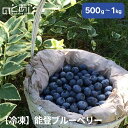 【冷凍】 国産 能登ブルーベリー 500g・1kg 【全国送料込み】 お中元 お歳暮 ギフト 父の日 母の日 子供の日 内祝い ご贈答用に!! プレゼント 贈り物 グルメ ご当地グルメ 復興支援 復興 応援 お取り寄せ お土産 石川県 能登町 石川 能登