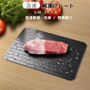解凍プレート まな板 急速解凍 解凍まな板 急速冷凍 正規品 解凍用プレート アルミ スピード 自然解凍 業務用 家庭用 解凍皿 急速 肉 魚 刺身 野菜 時短 省エネ 電気不要 冷凍食品対応 解凍ツール 送料無料