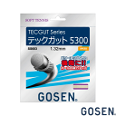GOSEN ゴーセン 「TECGUT テックガット5300」 SS603 軟式テニスストリング ガット ナチュラル