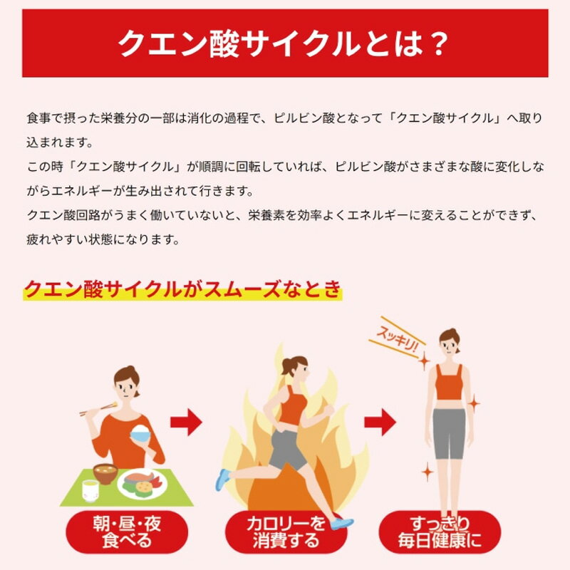 【7/11 01:59までポイント10倍】【最短当日出荷】メダリスト クエン酸 スポーツド...