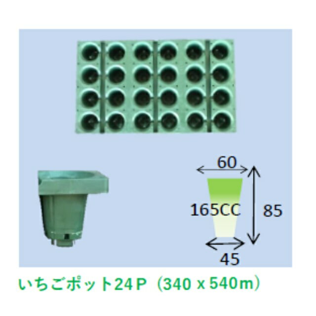 いちごポット24P　10枚入り