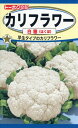 カリフラワーの種 F1 カリフラワー 白穂 1ml 品番3430 種子 たね