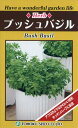ハーブの種 ハーブ ブッシュバジル 0.5ml 品番7820 種子 たね
