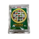 カンタスドライフロアブル 100g ( 園芸殺菌剤 ガーデン用品 農業用 家庭菜園 病害虫 フロアブル 害虫 対策 園芸用殺菌剤 殺菌 殺菌剤 家庭用 農薬 薬...