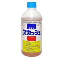 スカッシュ500ml