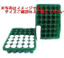 すくすくトレイ 35穴用 20枚入(トレイ トレー 農業資材 農業 農業用資材 育苗資材 家庭菜園 ガーデニング資材 園芸用品 農業用品 ガーデニンググッズ 園...