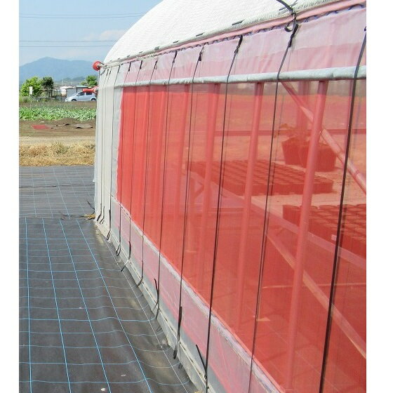 日本ワイドクロス　防虫ネット　サンサンネット ソフライト SL2700　目合い0.8mm　巾1.8m×長さ100m