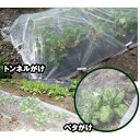 AJメッシュシート 210cm×100m(防虫ネット 防虫資材 防虫カバー 虫除け 虫よけ 虫除けネット 虫よけネット プランター 農業用 農作業 農業資材 農業道具 農業用品 園芸用 ガーデニング 畑 家庭菜園 園芸用具 園芸道具 日本農業システム楽天市場店 農耕 農業用資材)