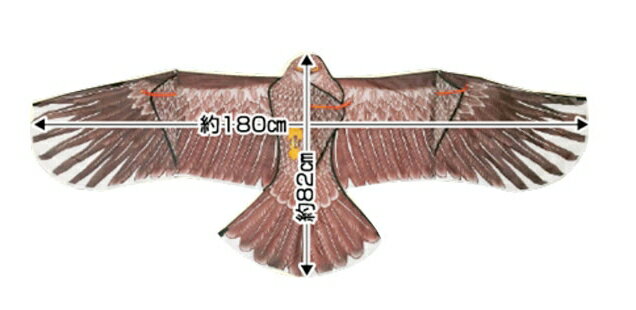 防鳥具カイト鷹 ファイバーポール支柱付(鳥対策 防鳥資材 鳥用品 家庭菜園 農業 農業用 資材 農業用資材 農作業 農業資材 園芸 園芸用 園芸用品 園芸グッズ 園芸資材 園芸用資材 ガーデニング ガーデニング用品)