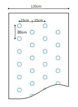 黒ホールマルチ 幅120cm×長さ200m×孔60mm 規格2430 5本セット(マルチ シート 雑草防止シート マルチシート ざっそう 雑草対策 家庭菜園 農業 農業用 資材 農業用資材 農作業 農業資材 園芸 園芸用 園芸用品 園芸グッズ 園芸資材 園芸用資材)