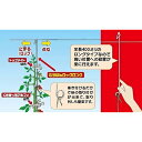 むすばんフックロングMロング50本入りMF-ML50