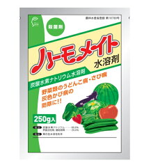 https://thumbnail.image.rakuten.co.jp/@0_mall/nou-nou/cabinet/02/0202012700002_1.jpg