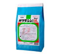 バリダシン粉剤DL 3kg