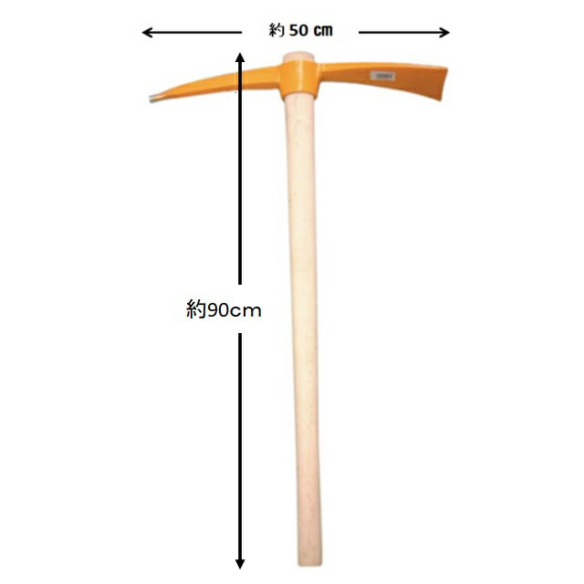 2026ǯ2��10��1��59�ޤǡ���Ź�Τ��㤤ʪ�ǥݥ����5�ܡ��������Х��ť����� 2.5kg 368209 ( �Ф��Ť뤨�Ĥ� )