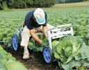 ナエッコ乗用植付け作業車NKH-600S