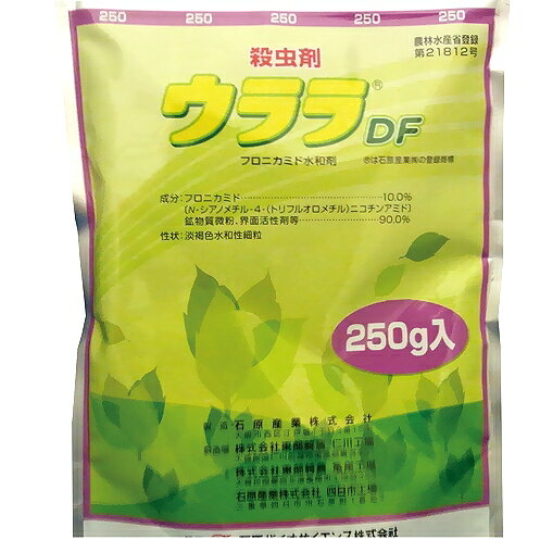 ウララdf 技術資料 _ ウララdf 使い方 – WXML