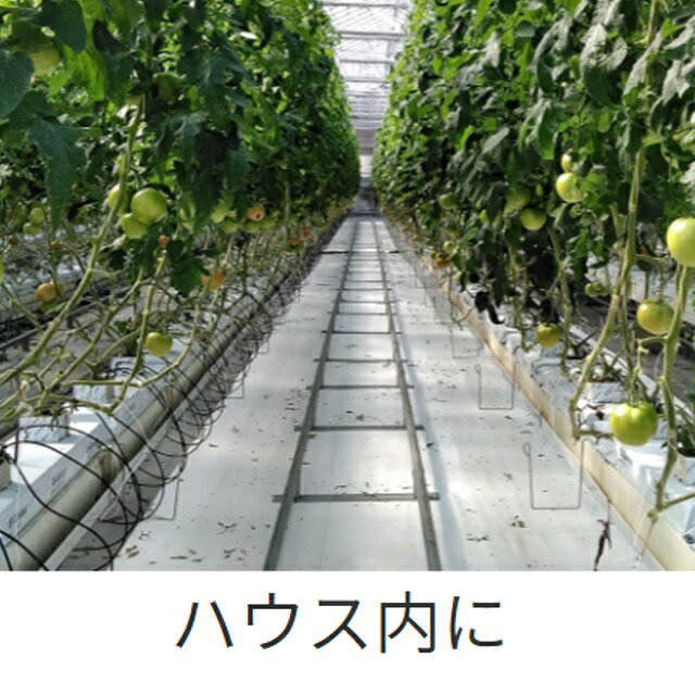 虫フラッとシート　幅100cmX長さ100m