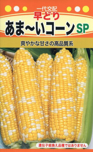 トウモロコシの種　F1　早どり　あま～いコーンSP　22ml　品番3370　種子　たね