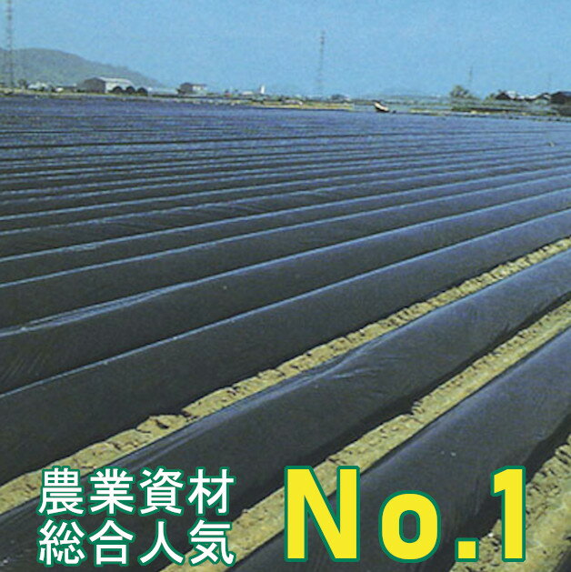 黒マルチ 厚さ0.02mm×幅120cm×長さ200m 雑草の抑制効果が高い畑用黒マルチです。 (マルチシート 農業用マルチ 防草 …