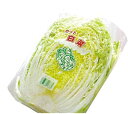 白菜1/2カットシート0.02mmX55cmX29cmX1000枚