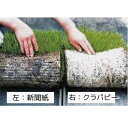 チェーンポット用クラパピ−