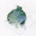 大葉袋 12cm×(12+4cm) 1000枚