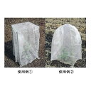 テクテクキャップ 60cm×60cm 300枚