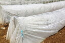 ぬくぬく 200cm×100m (野菜 農業用不織布 トンネル 栽培 資材 保温 家庭菜園 虫対策 害虫 農業 用 防虫 網 ネット 防虫ネット 虫除け 虫よけ...