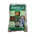 カリグリーン水溶剤 250g ( 園芸殺菌剤 ガーデン用品 農業用 家庭菜園 病気 対策 園芸用殺菌剤 殺菌 殺菌剤 家庭用 農薬 薬剤 畑 農業資材 園芸用品...