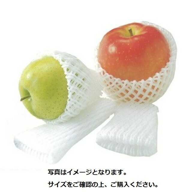 2026ǯ2��10��1��59�ޤǡ���Ź�Τ��㤤ʪ�ǥݥ����5�ܡ��������ե롼�ĥ���åץ��֥�W-12cm1000��