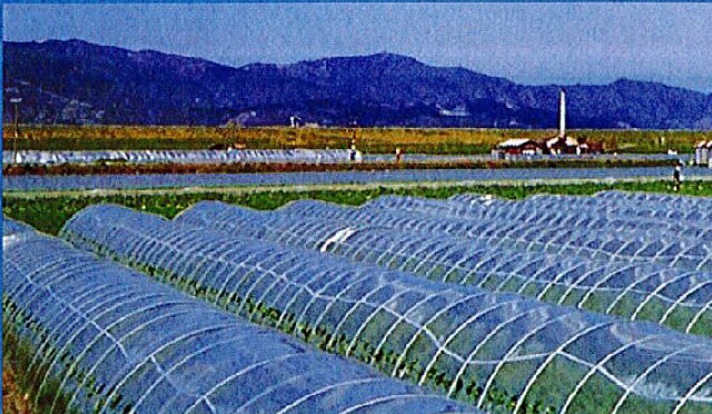 FRP トンネル支柱 丸型 径5mm×長さ180cm 100本セット ( 日本農業システム 積水 農業 園芸 家庭 菜園 ガーデニング トンネル 畑 ネット ハウス 野菜 栽培 トンネルしちゅう まるがた )