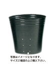 ポリポット黒丸側面 24穴12.0cm100枚入