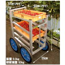 愛菜号 いちご収穫用ワゴンSW-514
