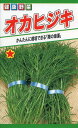 ひじき菜の種 オカヒジキ 5ml 品番1401 種子 たね