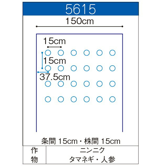黒ホールマルチ 厚さ0.02mmX長さ200m 黒色 5615X孔45mm　直送品(農業 農業資材 農...
