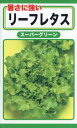 レタスの種 暑さに強いリーフレタス (スーパーグリーン) 3ml 品番6301 種子 たね