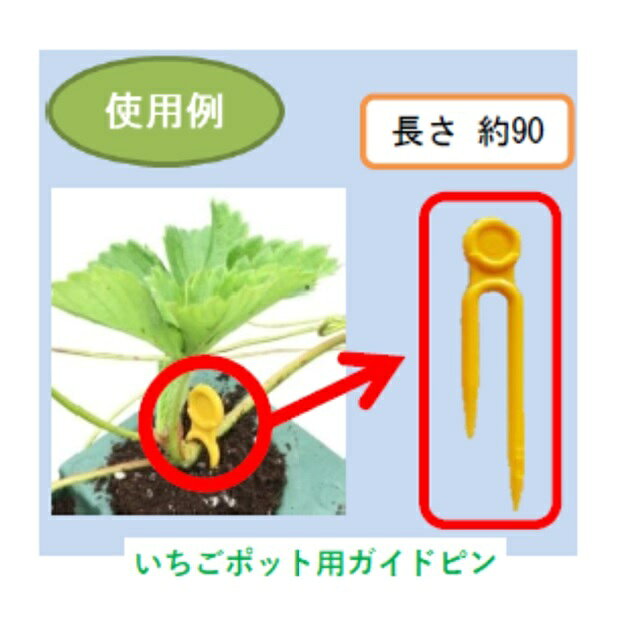 いちごポット用ガイドピン　500入り