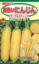 ニンジンの種 黄色いにんじん テーブルスティック 7ml 品番2171 種子 たね