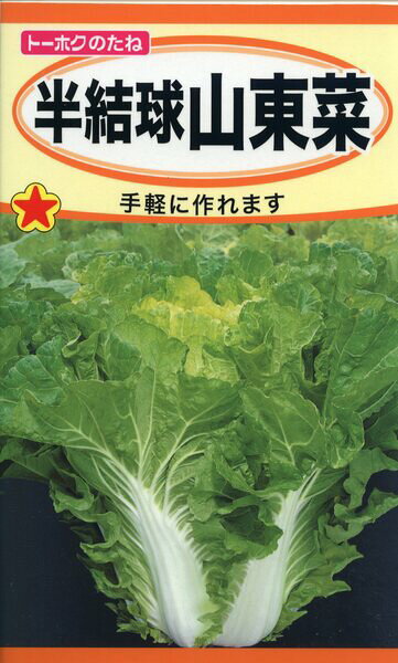 山東菜の種 広く全国で作られるようになった山東菜です。 小苗から半結球になるまで連続して収穫します。 生産地：イタリア 発芽率：90%以上 内容量：8ml 【日本農業システム楽天市場店について】 お客様に自信を持って、おすすめできる商品のみを取り扱い、上質で安心安全な商品をコスパよくお客さまにお届けしたいと考えております。 ランキング上位商品、人気商品、お得な訳ありアウトレット商品、最安商品、お買い得な値引き、セール商品、ポイント10倍商品等、はお問い合わせが多く、 数に限りがありますので、お早目にお買い求めください。