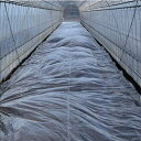 難透過性フィルム ハイバリアー 透明 厚さ0.02mm×幅210cm×長さ200m 2本セット(農業用マルチ マルチシート シート マルチ 農業マルチ 家庭菜園...