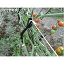 茎ラックCP-642-1 500入 (紐用)