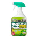 HCCザイトロンアミンスプレー液剤 900ml