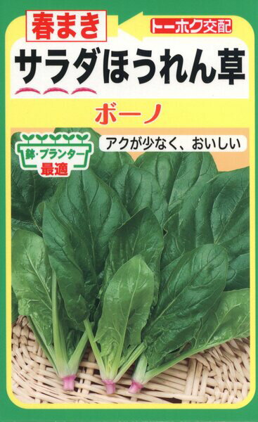 ホウレンソウの種　F1　春まきサラダほうれん草　ボーノ　25ml　品番6272　種子　たね
